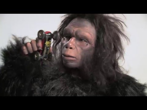 Video Reel